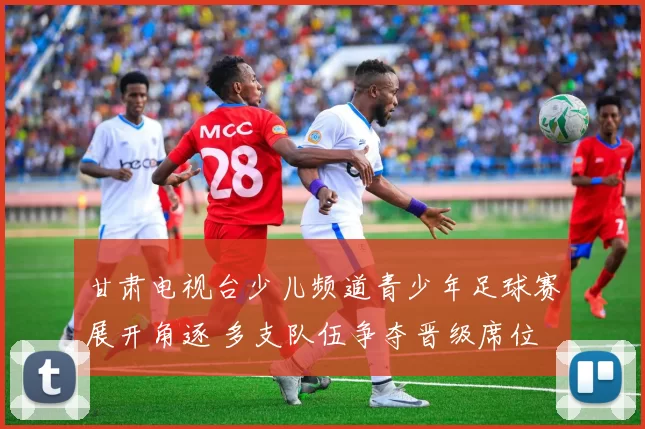 甘肃电视台少儿频道青少年足球赛展开角逐 多支队伍争夺晋级席位