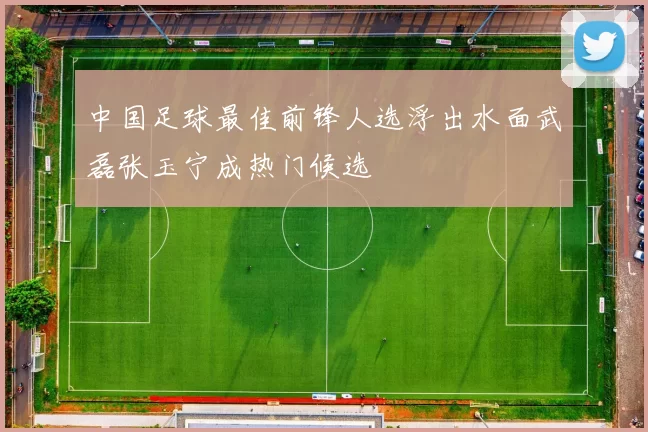 中国足球最佳前锋人选浮出水面武磊张玉宁成热门候选