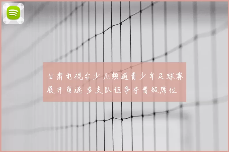 甘肃电视台少儿频道青少年足球赛展开角逐 多支队伍争夺晋级席位